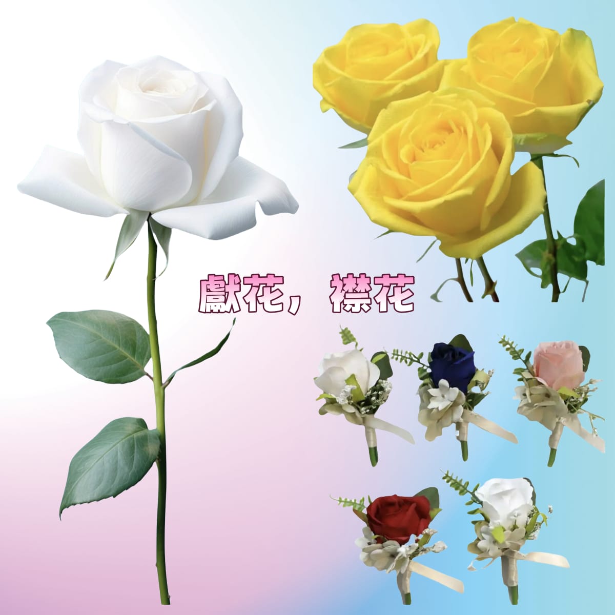 獻花，襟花